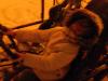 dscn4143_t1.jpg